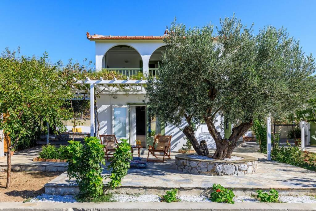 Nina-Myrtia Countryside House Skopelos Ditropo Exterior photo